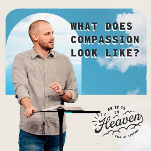 What Does Compassion Look Like?