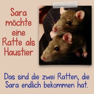 Sara möchte eine Ratte als Haustier — Recorded by Charlotte Yates