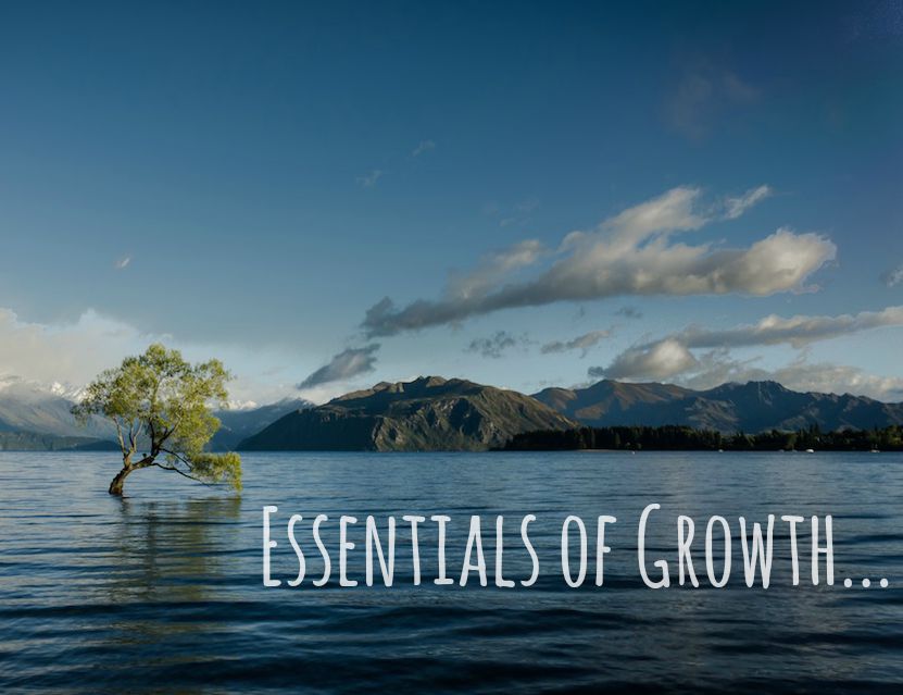 Essentials of Emotional Growth