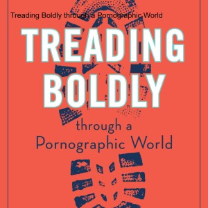 Treading Boldly through a Pornographic World