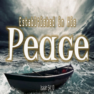 Established in His Peace - PT 2