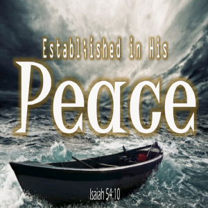 Established in His Peace - PT 1