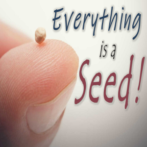 Everything is a Seed - PT 4