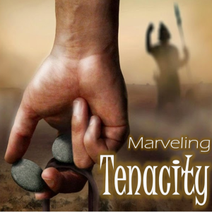 Marveling Tenacity - PT 3