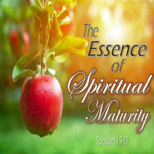 The Essence of Spiritual Maturity - PT 8