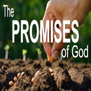 The Promises of God - PT 5