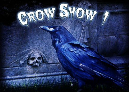 The Odd To Newfoundland Paranormal Podcast
