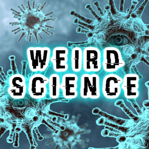 The Odd To Newfoundland Paranormal Podcast