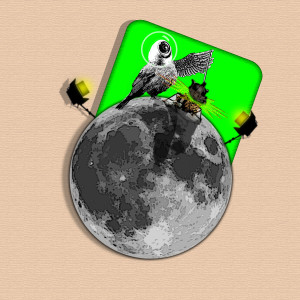 #20 Nobody Went to the Moon Part 2