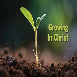 'Growing in Christ'