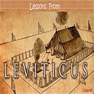 'Lessons from Leviticus' Bible Class 5 - Principles of Priesthood