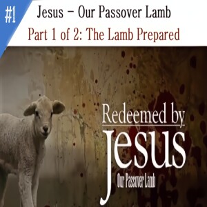 'The Passover Lamb' Bible Class 1