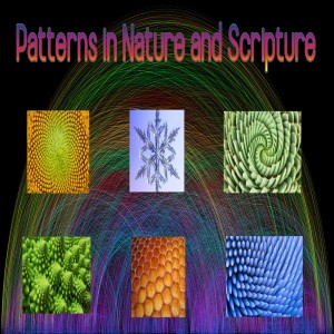 ’Patterns in Nature and Scripture’ Bible Class