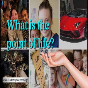 What is the point of Life?