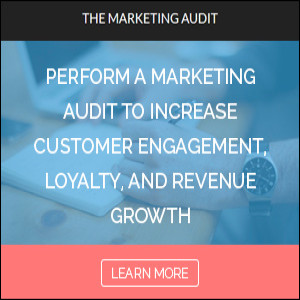 The Marketing Audit