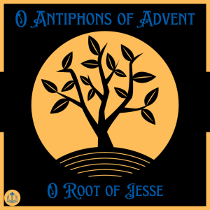 O Antiphons of Advent - December 19th - O Shoot of Jesse