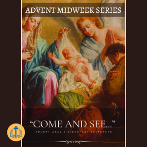 Sermon - Advent Midweek 2 - 12/07/2022