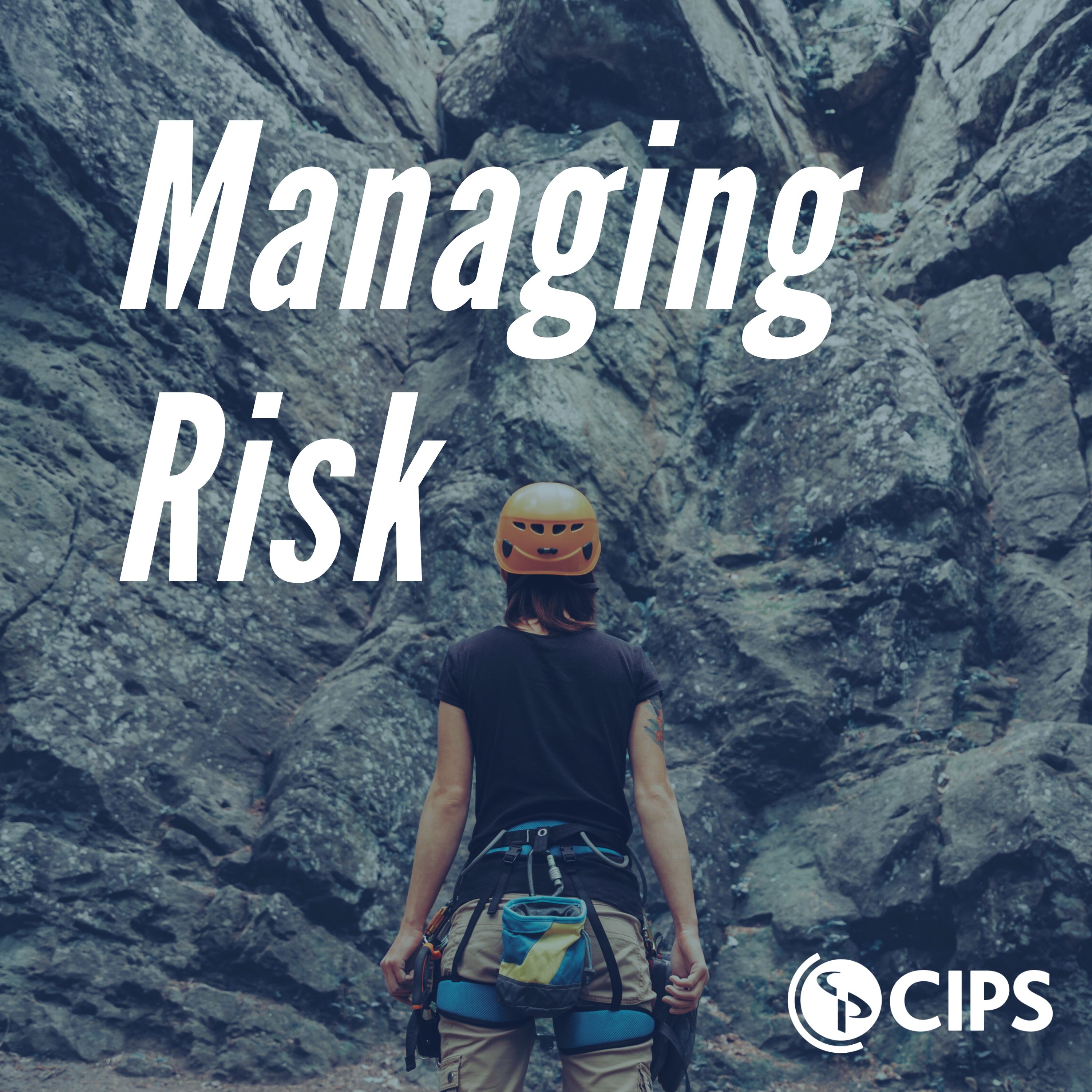 CIPS Procurement and Supply Podcast