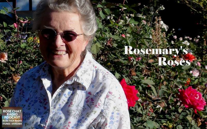 Rosemary's Roses - Spirit Of America Tour