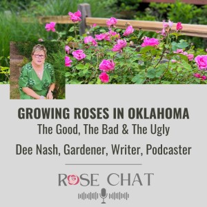 GROWING ROSES IN OKLAHOMA