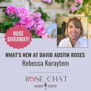 WHAT’S NEW AT DAVID AUSTIN ROSES