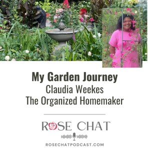 MY GARDEN JOURNEY