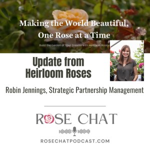 Update From Heirloom Roses