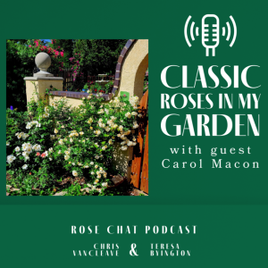 CLASSIC ROSES IN MY GARDEN WITH CAROL MACON
