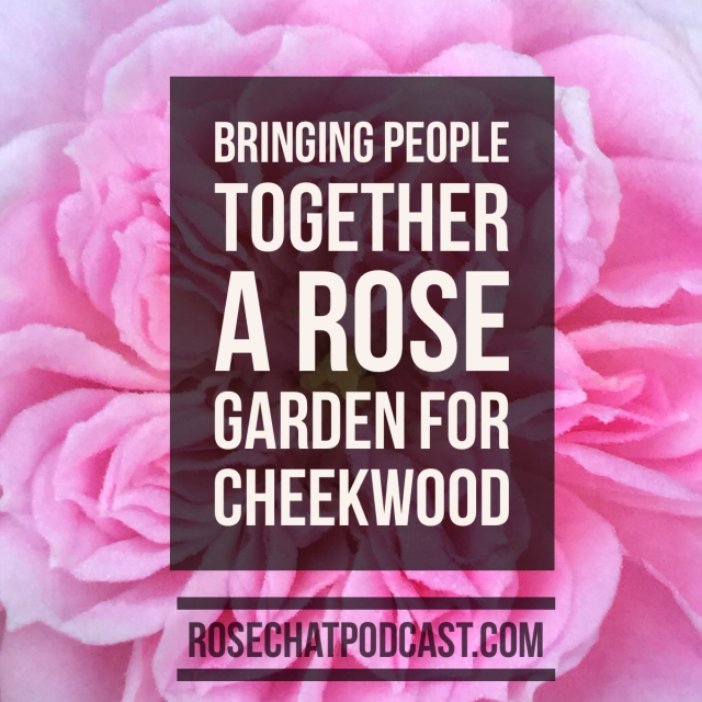 Bringing People Together - A Rose Garden for Cheekwood