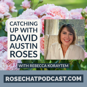 Catching Up With David Austin Rose