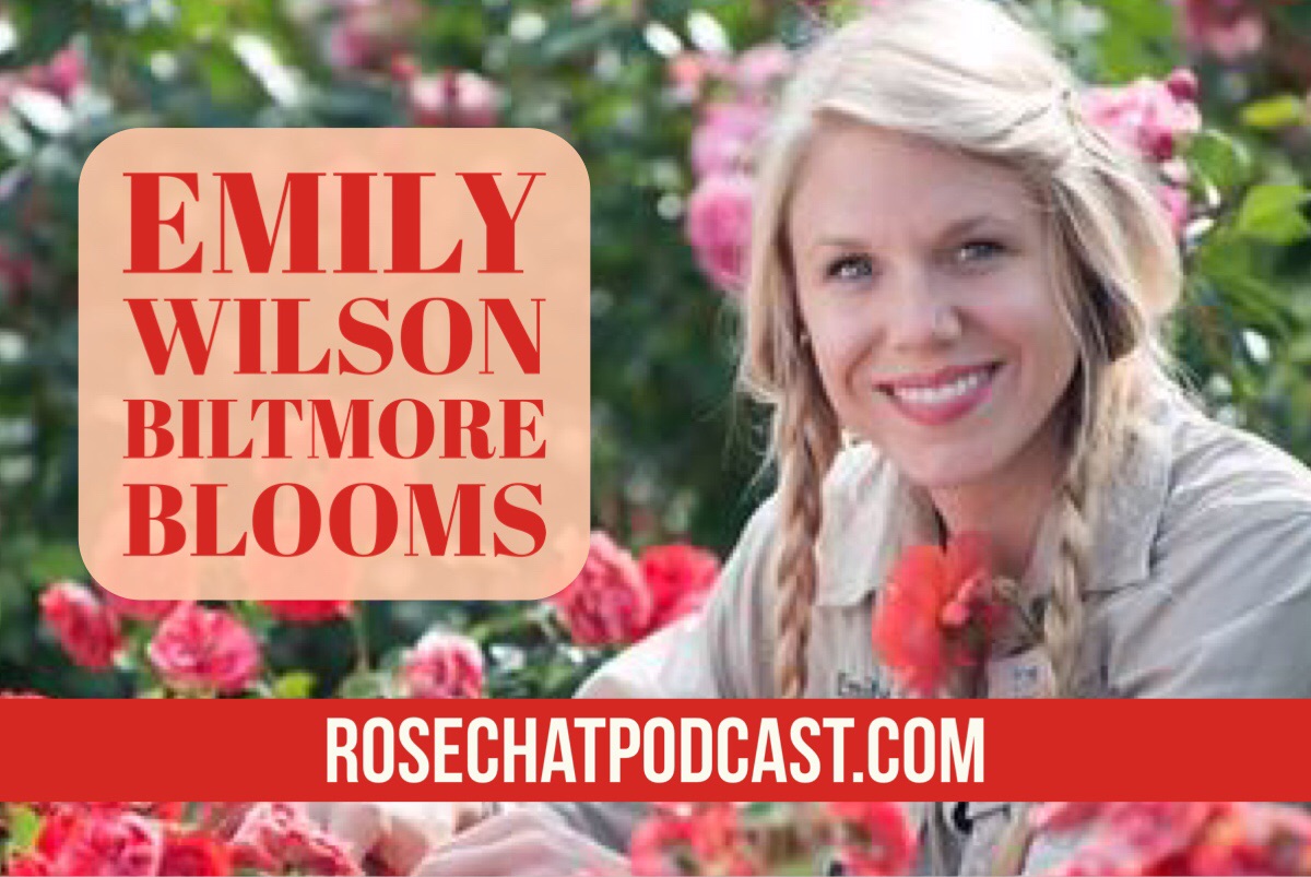 Biltmore Blooms | Emily Wilson