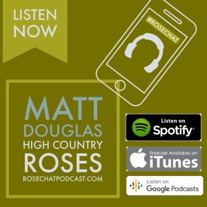 High Country Roses | Matt Douglas