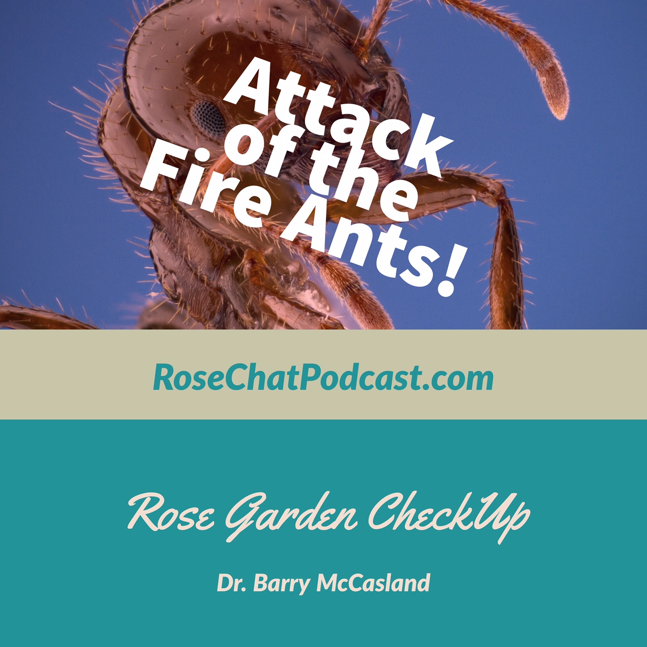 Attack of the Fire Ants! | Dr. Barry McCasland | Rose Garden Check Up