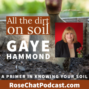 THE DIRT ON SOIL: GAYE HAMMOND