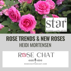 ROSE TRENDS & NEW ROSES