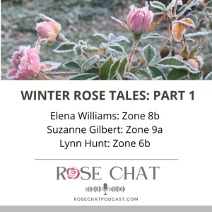 WINTER ROSE TALES: Part 1