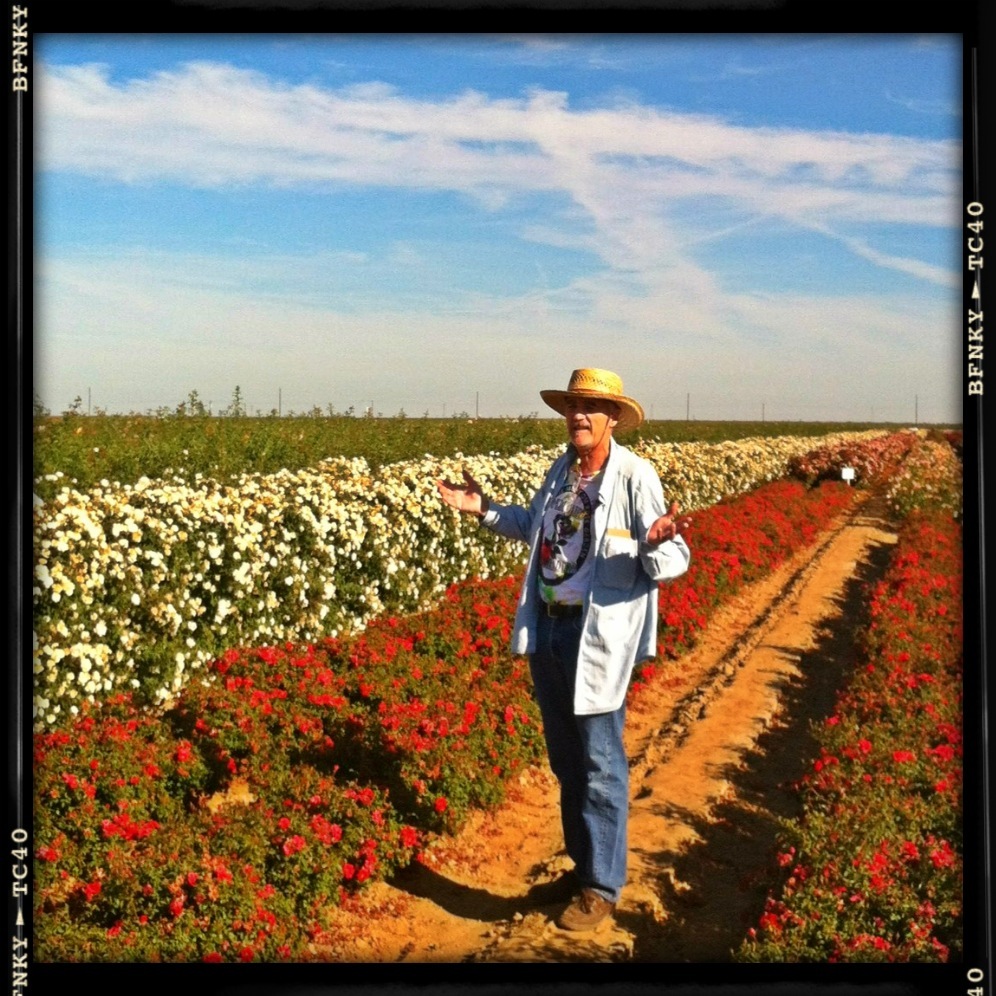 Drought Tolerant Roses &amp; Plants with Jacques Ferare - Star Roses &amp; Plants