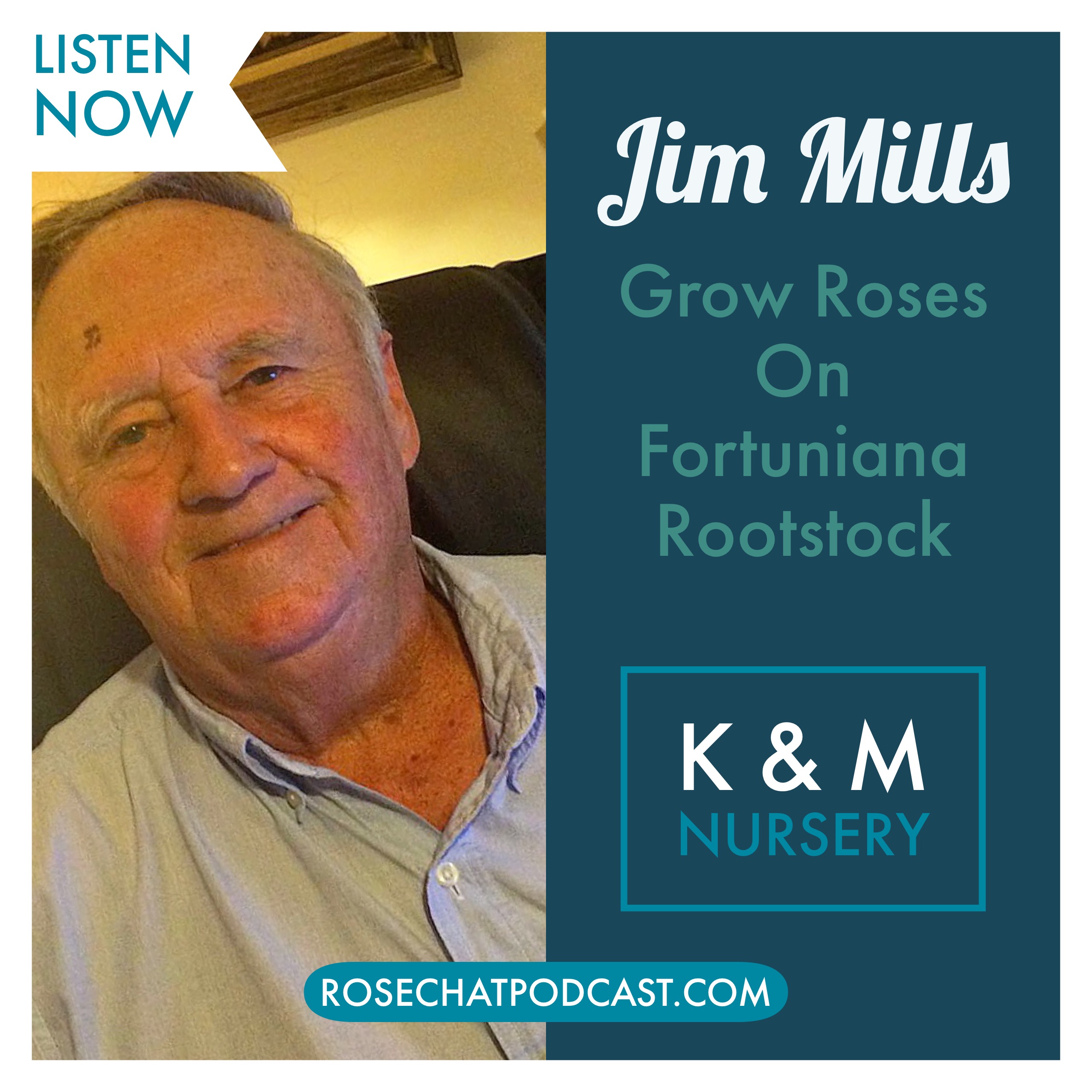 Jim Mills | K & M Roses | Growing Roses on Fortuniana Rootstock