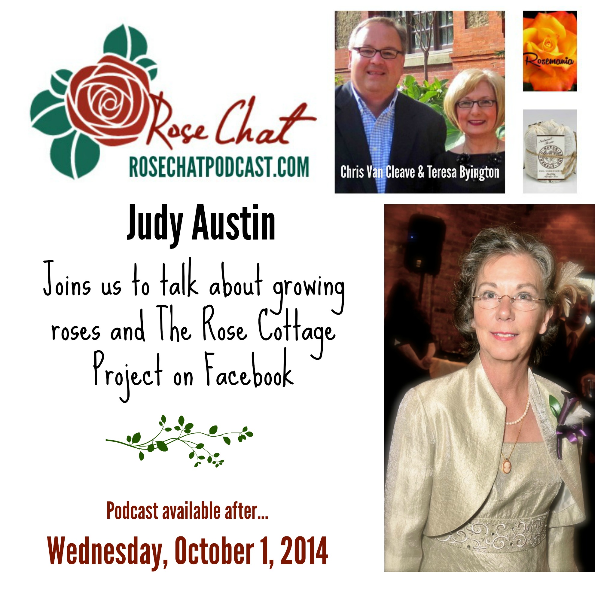 The Rose Cottage Project - A Conversation With Judy Elizabeth Austin