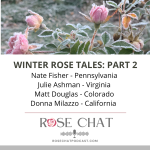 WINTER ROSE TALES PART 2