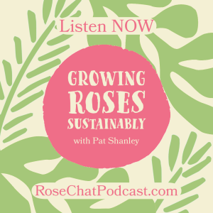 GROWING ROSES SUSTAINABLY with Pat Shanley