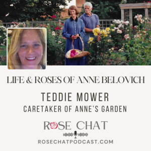 THE LIFE & ROSES OF ANNE BELOVICH