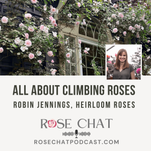 ALL ABOUT CLIMBING ROSES