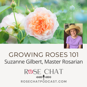 GROWING ROSES 101