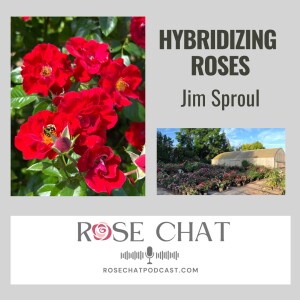 ROSE HYBRIDIZING