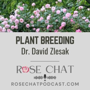 PLANT BREEDING