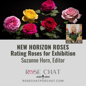 NEW HORIZON ROSES