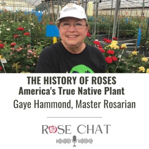 THE HISTORY OF ROSES