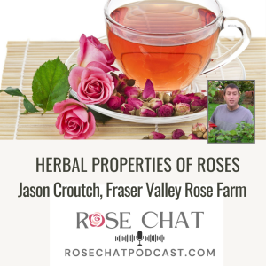 HERBAL PROPERTIES OF ROSES