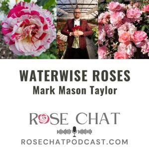 WATERWISE ROSES